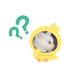 猫スタンプにゃんにゃん（個別スタンプ：7）