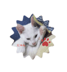 猫スタンプにゃんにゃん（個別スタンプ：8）
