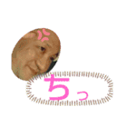 けけけぃすけぃ～まとめ。（個別スタンプ：31）
