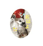 るぅふぁみスタンプ（個別スタンプ：3）