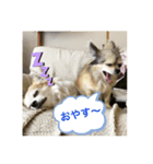 るぅふぁみスタンプ（個別スタンプ：4）