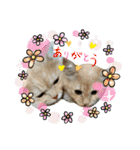 ロッキーfriends（個別スタンプ：9）