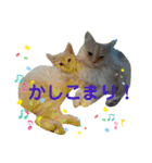 ロッキーfriends（個別スタンプ：15）