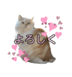 ロッキーfriends（個別スタンプ：18）