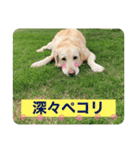 ロッキーfriends（個別スタンプ：19）