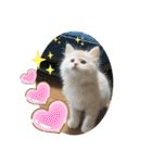 ロッキーfriends（個別スタンプ：31）