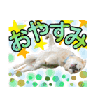 ロッキーfriends（個別スタンプ：39）