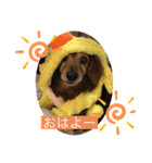 愛犬ハッピーくん（個別スタンプ：2）
