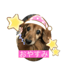 愛犬ハッピーくん（個別スタンプ：3）