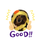 愛犬ハッピーくん（個別スタンプ：4）
