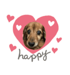 愛犬ハッピーくん（個別スタンプ：11）