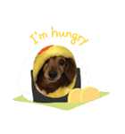 愛犬ハッピーくん（個別スタンプ：14）