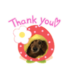 愛犬ハッピーくん（個別スタンプ：16）