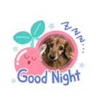 愛犬ハッピーくん（個別スタンプ：17）