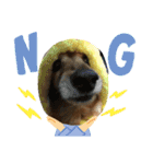 愛犬ハッピーくん（個別スタンプ：20）