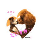 トイプードル♡もなちゃん♡（個別スタンプ：1）