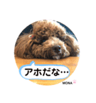 トイプードル♡もなちゃん♡（個別スタンプ：6）