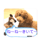 トイプードル♡もなちゃん♡（個別スタンプ：11）