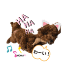 トイプードル♡もなちゃん♡（個別スタンプ：15）