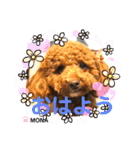 トイプードル♡もなちゃん♡（個別スタンプ：17）