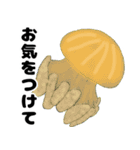 イラスト生き物図鑑（クラゲ編）（個別スタンプ：6）