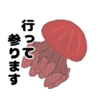 イラスト生き物図鑑（クラゲ編）（個別スタンプ：11）