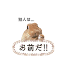 ぽこさんのスタンプ2（個別スタンプ：1）