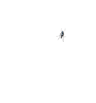 画面の上に蚊、（個別スタンプ：1）