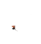 画面の上に蚊、（個別スタンプ：6）