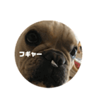 もんちゃんですver.2（個別スタンプ：4）