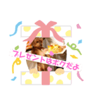 ぽぽさんのひび。（個別スタンプ：4）