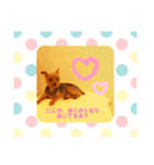 ぽぽさんのひび。（個別スタンプ：8）