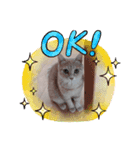 ほのわんか可愛いねこすたんぷ（個別スタンプ：7）