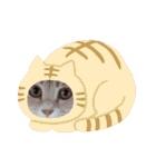 ほのわんか可愛いねこすたんぷ（個別スタンプ：14）