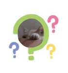 ほのわんか可愛いねこすたんぷ（個別スタンプ：24）