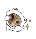 ほのわんか可愛いねこすたんぷ（個別スタンプ：38）