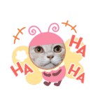ほのわんか可愛いねこすたんぷ（個別スタンプ：39）