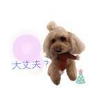 くーちゃんのスタンプわんわん（個別スタンプ：27）