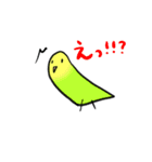 マルッとしたインコ（個別スタンプ：2）
