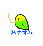 マルッとしたインコ（個別スタンプ：3）