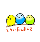 マルッとしたインコ（個別スタンプ：5）