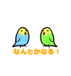 マルッとしたインコ（個別スタンプ：8）