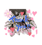 みいたんご（個別スタンプ：3）
