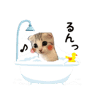 すー太郎だにゃん（個別スタンプ：7）