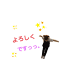 babel stamp 第三弾（個別スタンプ：26）