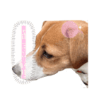 うちの愛犬ユキ（個別スタンプ：4）