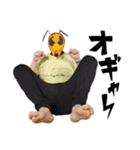スズメバチ仮面ヒロポンスタンプ（個別スタンプ：6）