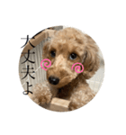 あーたむのスタンプ（個別スタンプ：7）