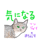 タイ語 ニャンズ 2 日本語（個別スタンプ：24）