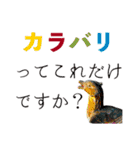リアル木造動物スタンプ（個別スタンプ：6）
